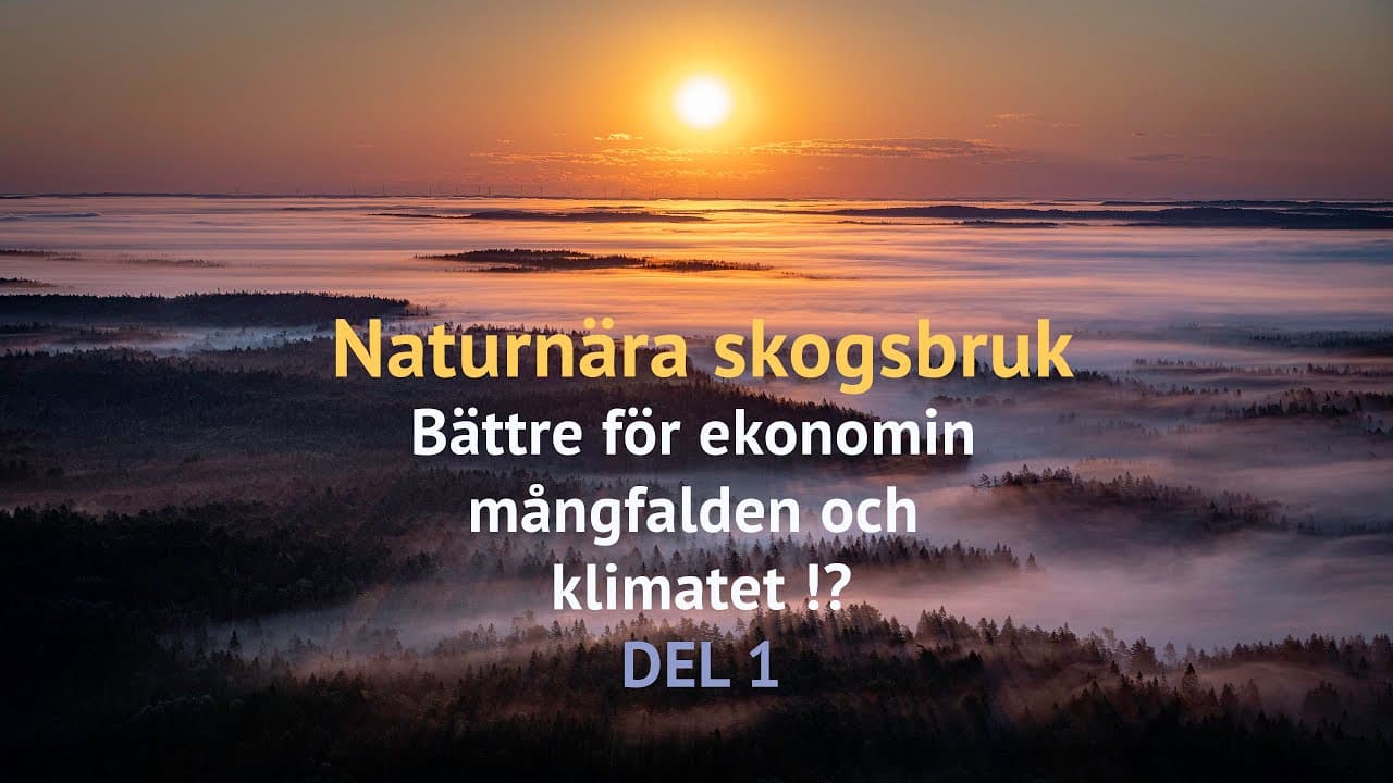 -zSLlljqOSU poster image