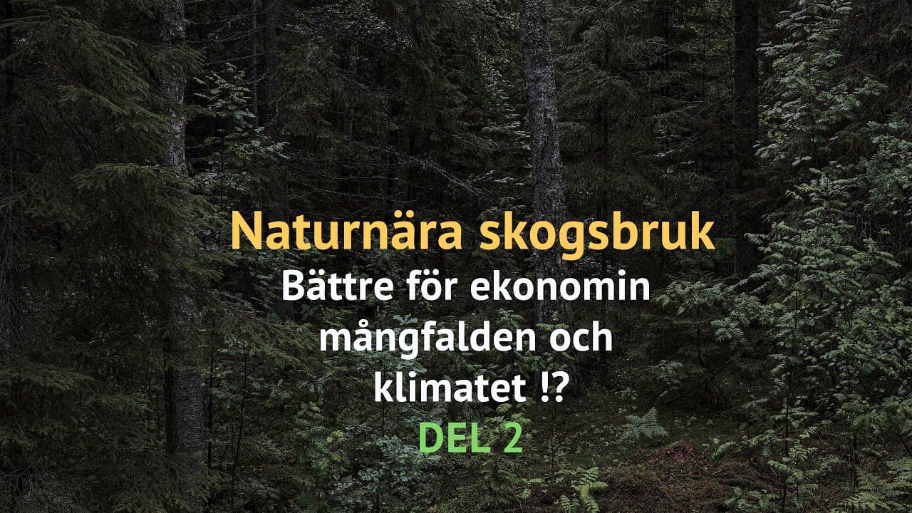 mLtOdmrOLhQ poster image