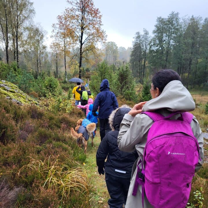 på väg till Ålslån